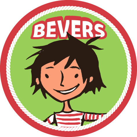 Bevers
